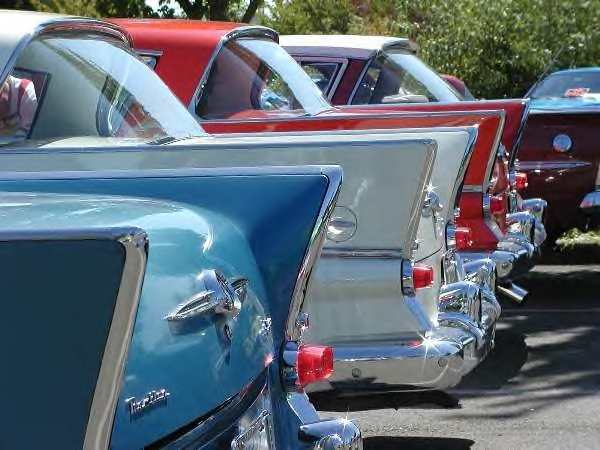 50's Fins!!