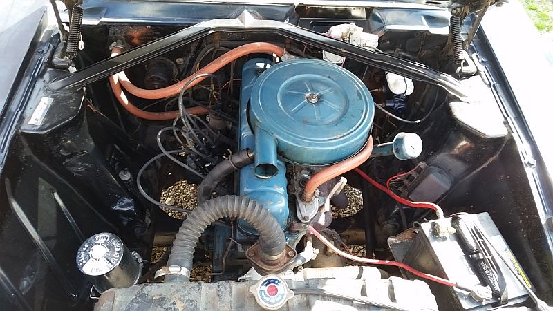 1964 Rambler American 440 conv engine