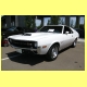 1970-amx-white.jpg